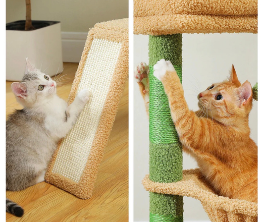 Arbre à Chat Le Nid Suspendu